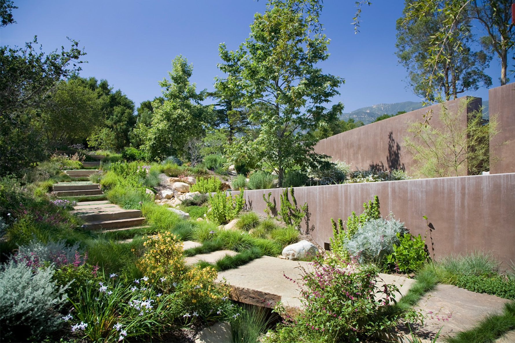 Sycamore-Residence-Native-Drought-Tolerant-Garden-Plaster-Walls